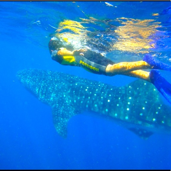 POSH AMBASSADOR⭐️@venturasunshine - Picture 3 of 8